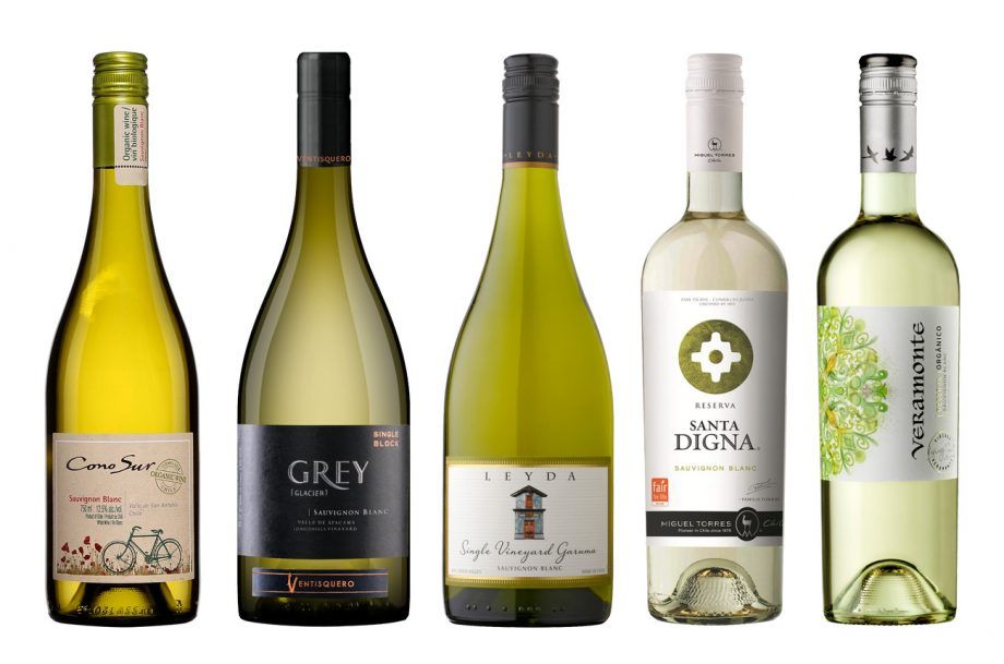Čile: 10 najboljih vina Sauvignon Blanc...