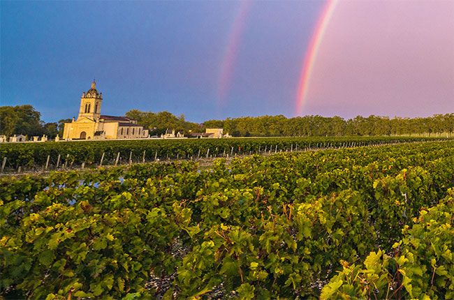 Burdeos en botella 2015