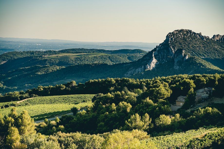 Gigondas, Vacqueyras & Beaumes de Venise 2019: Laporan dan anggur pencetak gol terbanyak...