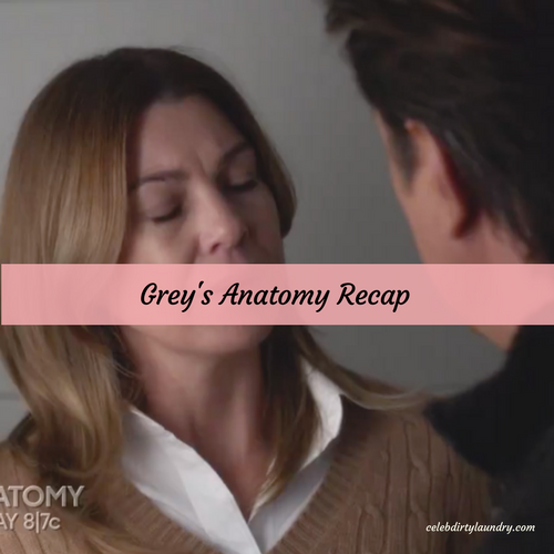 ملخص غرايز أناتومي: الموسم 13 الحلقة 20 في الهواء الليلة