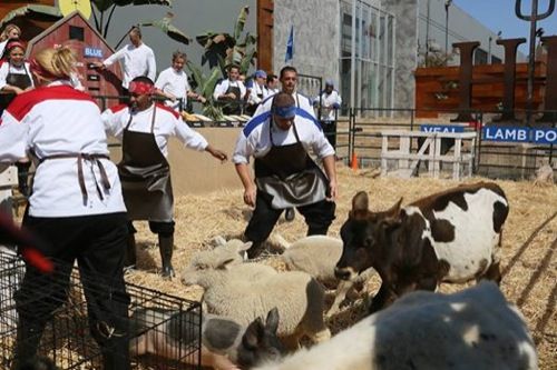 Рецап Хелл'с Китцхен - Катие Елиминисан - 13 такмичара се такмиче: 13. сезона, 6. епизода