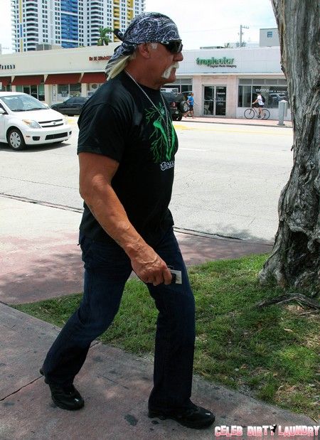 ہلک ہوگن سیکس ٹیپ آگے بڑھا - بوبا کے لئے نئے مشہور شراکت دار محبت سپنج کی بیوی ہیدر کلیم نے انکشاف کیا