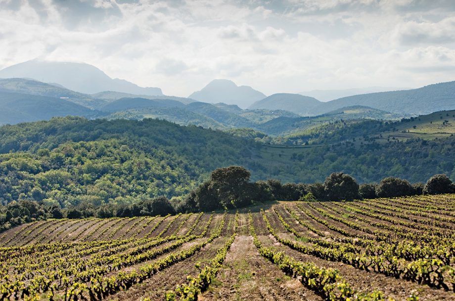 IGP mõistmine maksab d’Oc...