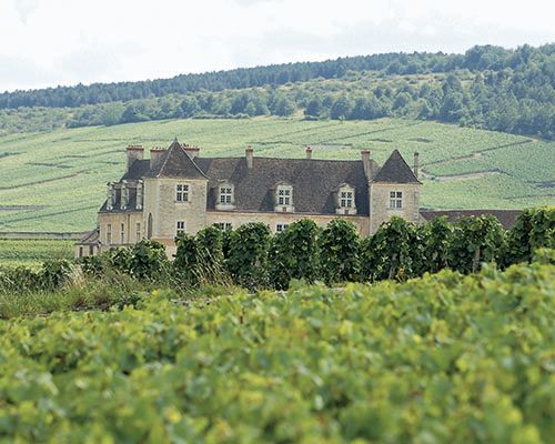 História do vinho em 100 garrafas: Mosteiros - Clos de Vougeot...