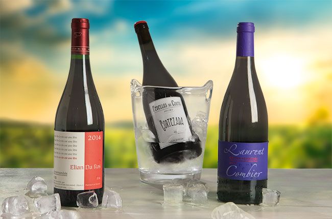 cele mai bune roșii să se răcească