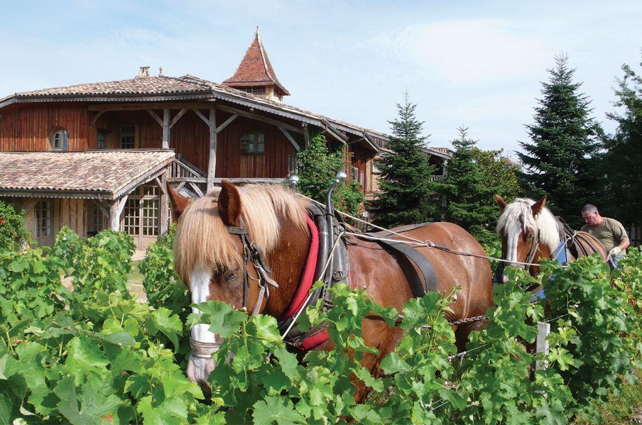 הכירו את הלוחמים האקולוגיים של בורדו...