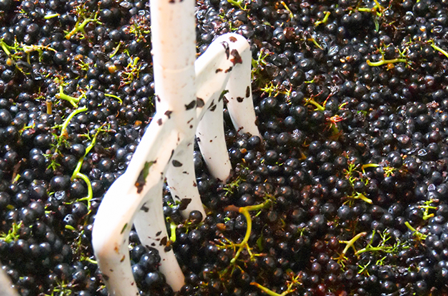 کاربونک maceration کیا ہے؟ ڈیکنٹر سے پوچھیں...