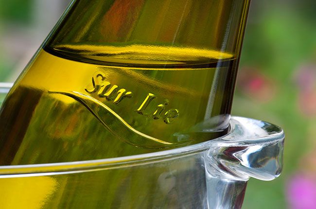 شراب میں پڑھیں