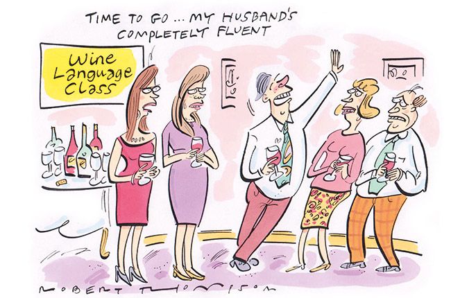 איך לדבר על יין