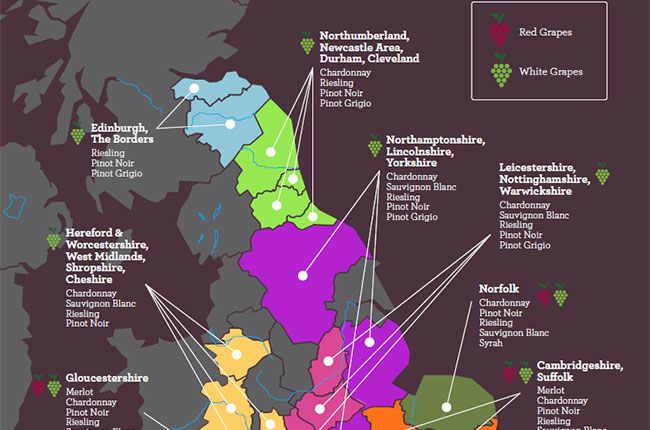 britanya şarabı, iklim değişikliği, çalışma