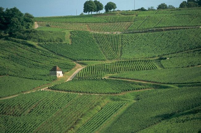 Јура детаљно и вина која не смете пропустити...