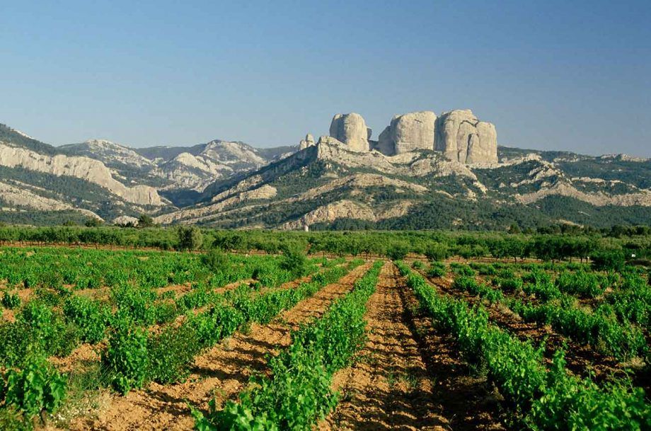 Hồ sơ khu vực: Terra Alta...