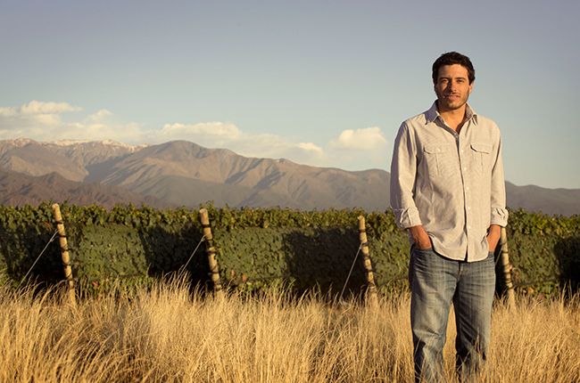 Zuccardi: perfil de productor...