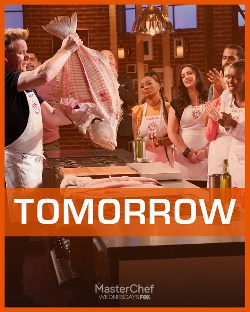 Преглед мастерцхефа 15.8.18. Сезона 9, епизода 13 Само за морску плочу