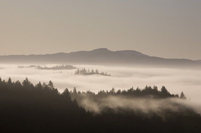 rượu vang tiền đồn, núi howell