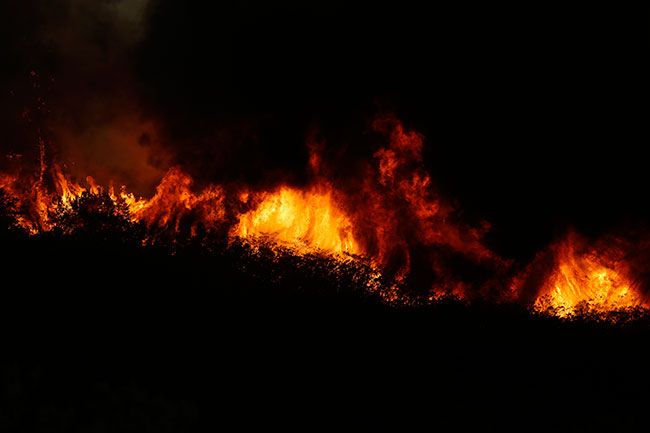 Kalifornia tüzet indít, de a szőlőültetvények biztonságban vannak - mondja Napa Vintners...