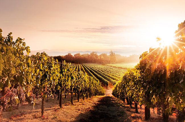 Netflix untuk menerbitkan filem Wine Country berasaskan Napa...