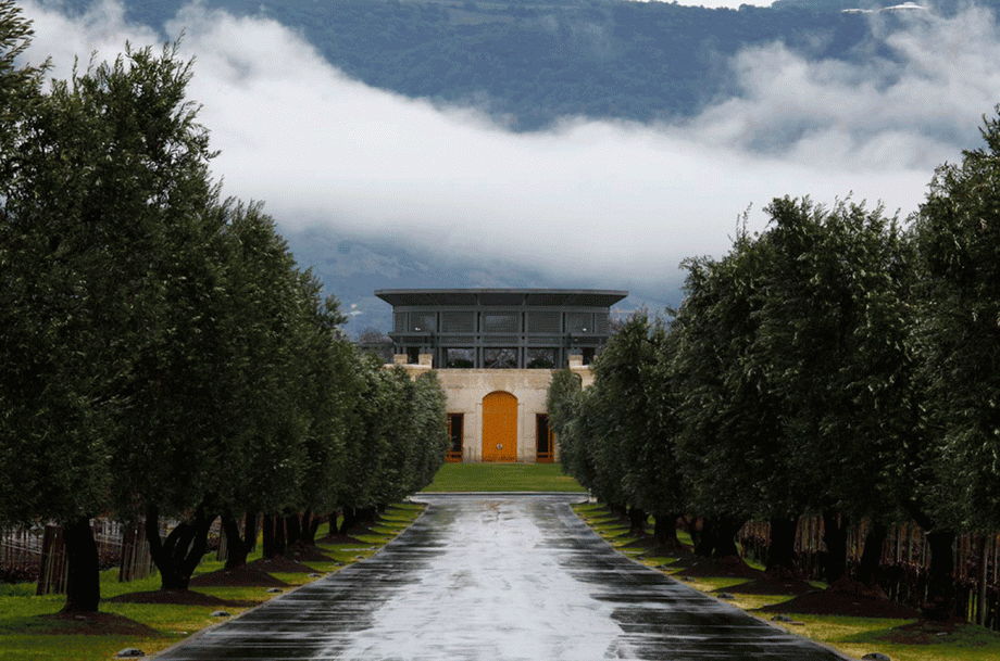 Opus One vertikaalne, veinitehas, Napa Valley, California