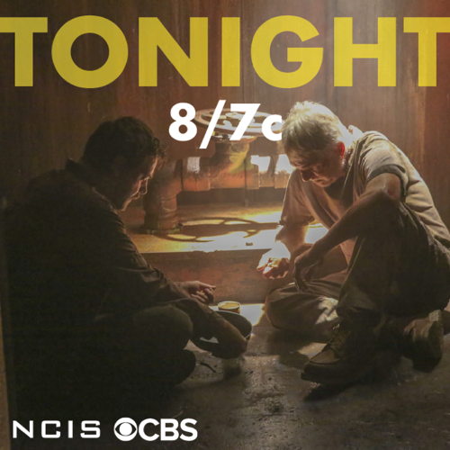 NCIS Premiere Recap: Seizoen 15 Aflevering 1 Huis verdeeld