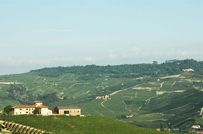 Ladang Brunella milik Baroli di Barolo