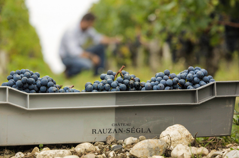 Chateau Rauzan-Ségla