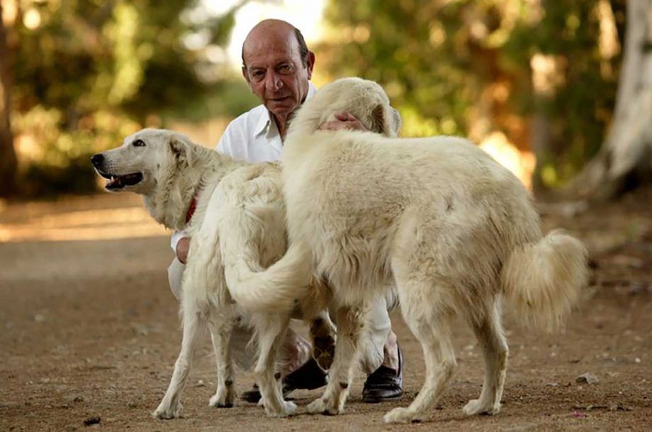 Die sizilianische Weinlegende Diego Planeta stirbt...