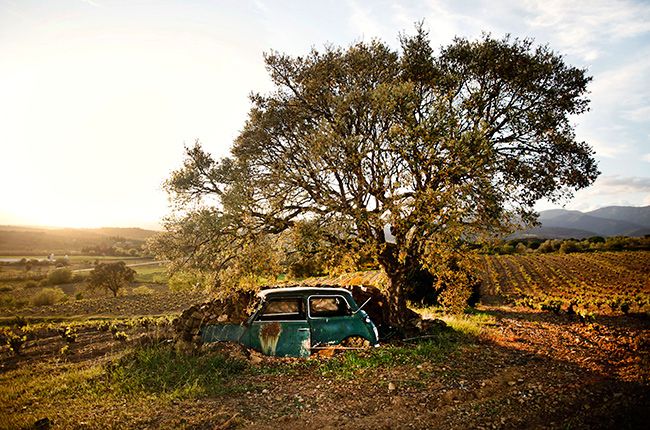 Jefford luni: „Vânt, piatră ...”...