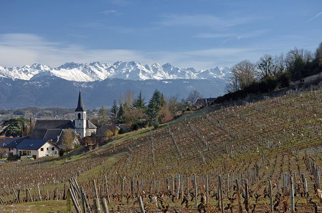 ג'פורד ביום שני: ירידה לאורך כל הדרך...