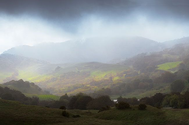 פנורמה מעורפלת בקין