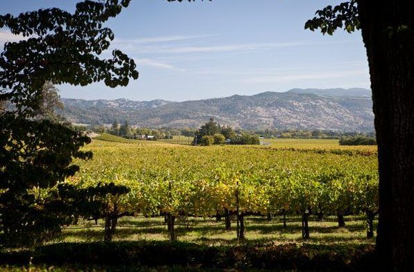 inglenook, nắp phẳng, napa,