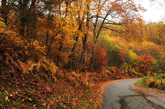 seyssuel, vienne, ఫ్రెంచ్ వైన్