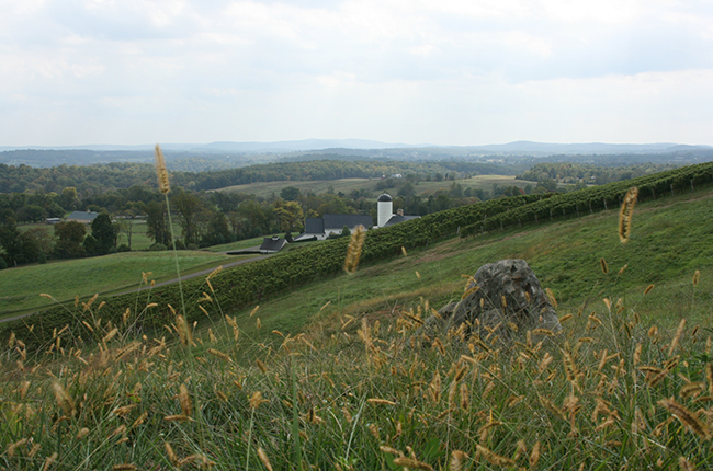 Jefford di perkebunan Monday RdV, Virginia