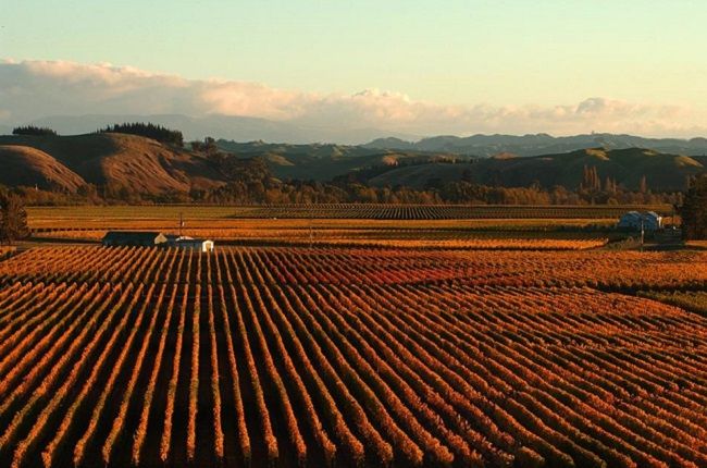 Джефърд в понеделник: Претегляне на Gimblett Gravels...