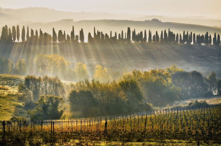 Lamole di Lamole: Chianti Classico och mer, i en toskansk idyll...