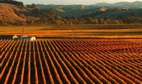 Trinity Gimblett Gravels