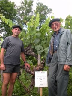 جے پی اور رینی پی © ڈیبرنیڈ