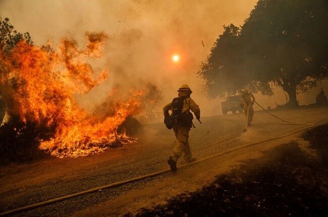 калифорнијска ватра, мендоцино ватра