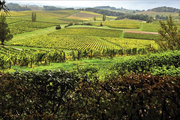 Profil régional: Bergerac...