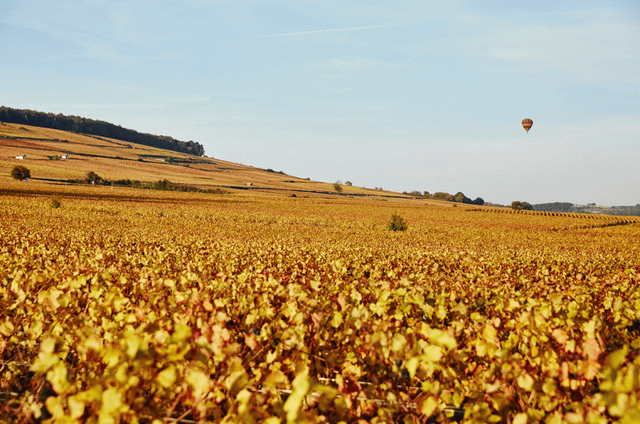 Naked Wines verkoopt goede wijnhandelaar Lay & Wheeler voor £ 11,3 miljoen ($ 14 miljoen)...