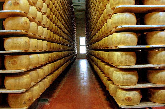 Hjul av Parmigiano Reggiano på en fabrikk i Italia