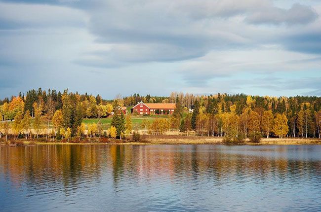 Εστιατόριο Fäviken Magasinet