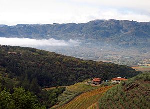 AVA کی حیثیت کے لئے چاند ماؤنٹین...