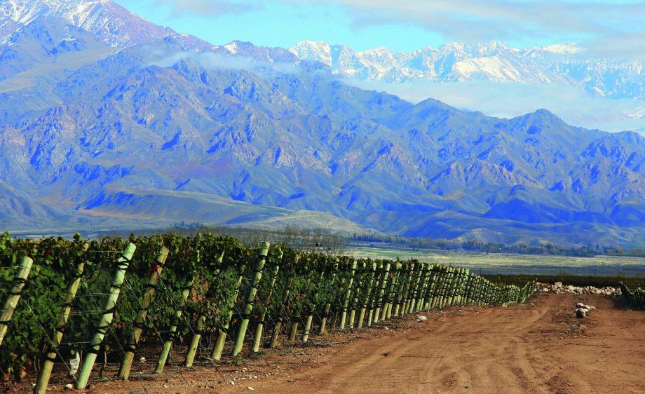 Güneş ışığında yürümek - Arjantin şarabı...