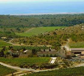 Gerard Bertrand augmentarà les exportacions de la Xina en un 40% 'mínim'...