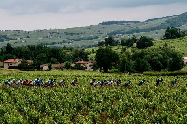 Uuendus - Prantsuse veinisaak taastub 2018. aastal, ütlevad ametnikud...