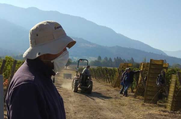 Dolina Cachapoal - čilsko vino...
