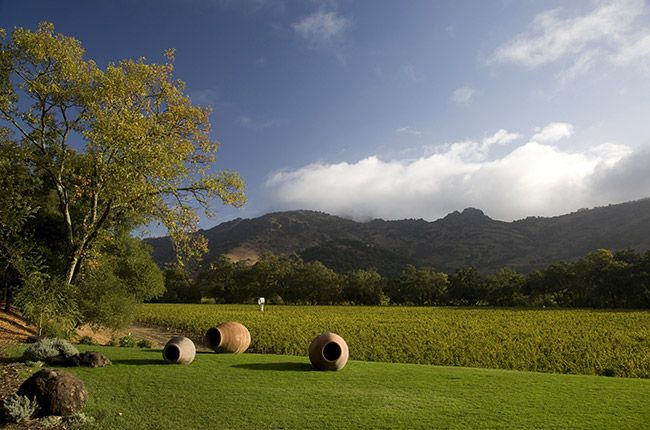 కాలిఫోర్నియా ద్రాక్షతోటలు