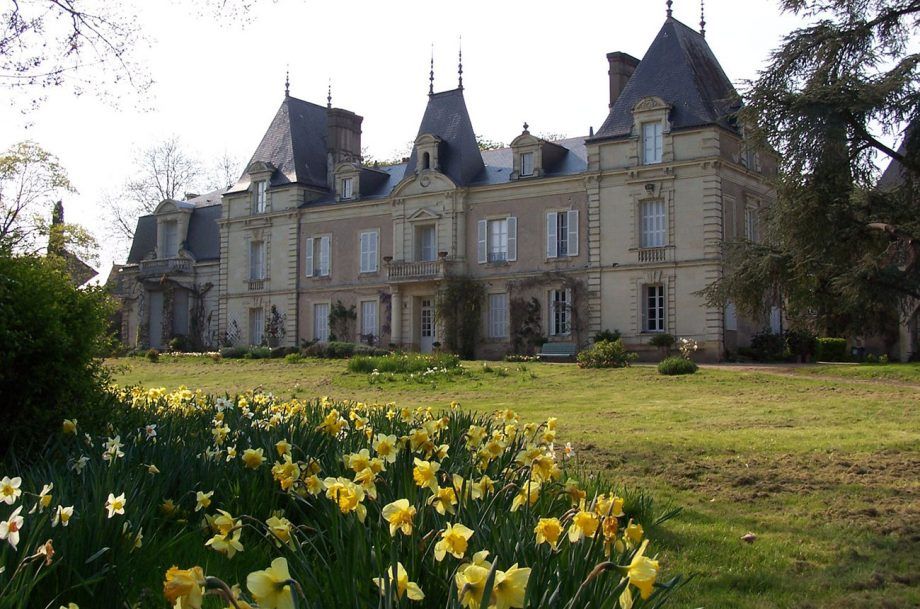 Domaine du Closel Clos du Papillon: navpična degustacija...