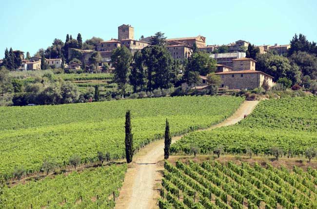 فونٹودی کا فلاسیئنیلو ڈیلا پیو: دس مقابلے کی موازنہ...