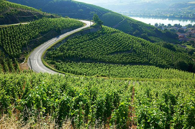 cote rotie, βόρειος Ρήνος